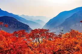 开云-岭北猛虎队守住胜果云贵猛虎队,田径常规赛上演裁判判罚引热议!战术板得到兑现